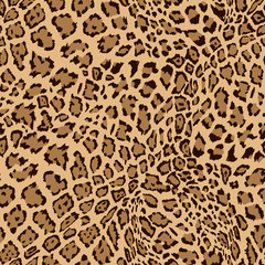 Animal Leopard Seamless Background