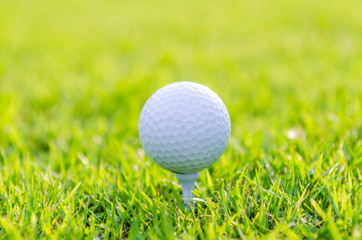 Golf ball on green grass