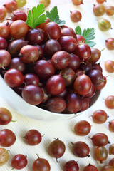 Gooseberry abundance