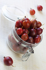 Ripe gooseberry lies in bank