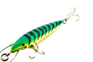 Fish bait