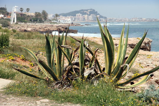 Denia,Costa Blanca,Alicante,Spain