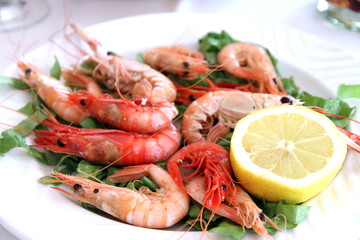 Prawn of Denia,Costa Blanca,Alicante,Spain