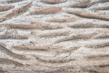 Striped concrete cement wall texture