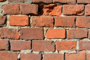 Obraz premium Brick wall texture