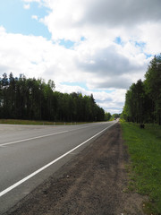 asphalt road in the forest
