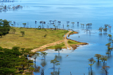 African landscape, bird's-eye view on lake Nakuru - obrazy, fototapety, plakaty