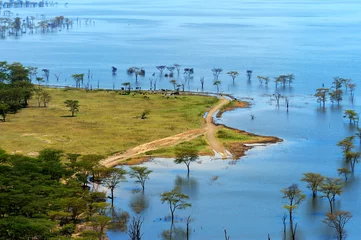 Foto auf Alu-Dibond African landscape, bird's-eye view on lake Nakuru © byrdyak