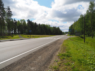 crosswalk in the forest