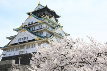 桜と大阪城