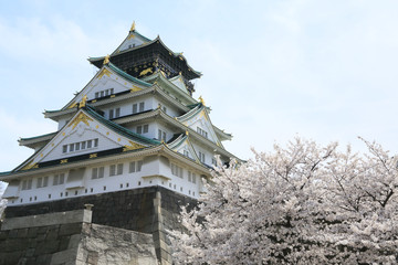 桜と大阪城