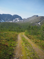 Fototapeta premium road in the mountains