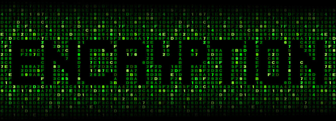 Encryption text on hex code illustration