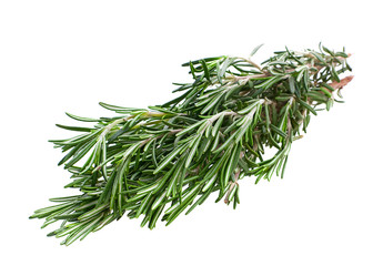 Rosemary herb closeup