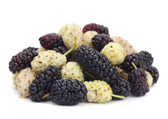 Black and white mulberry