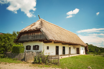 Plakat Villager's house