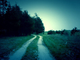 Obraz premium Retro Forest Road