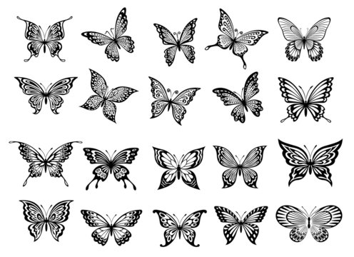 Set of twenty butterflies
