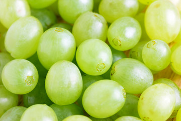 Sweet green grapes