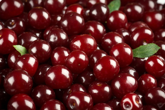Sweet cherries background closeup