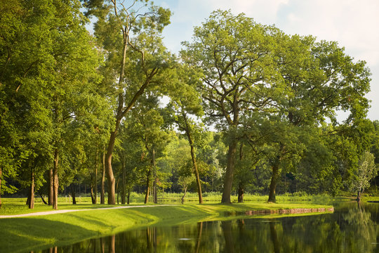 Beautiful park