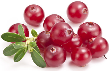 Cranberries with leaves.