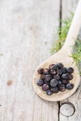 Dried Juniper Berries