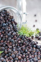 Dried Juniper Berries