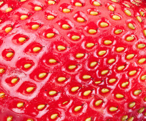 Strawberry fruit background.