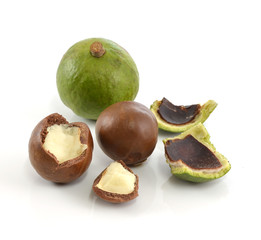 macadamia nuts on white background
