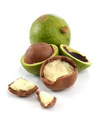 macadamia nuts on white background