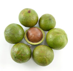 macadamia nuts on white background