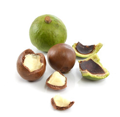 macadamia nuts on white background