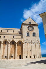 Fototapeta na wymiar Cathedral of Trani. Puglia. Italy.