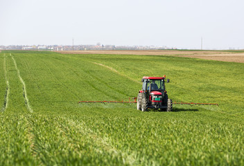 Tractor spraying wheat field with sprayer,