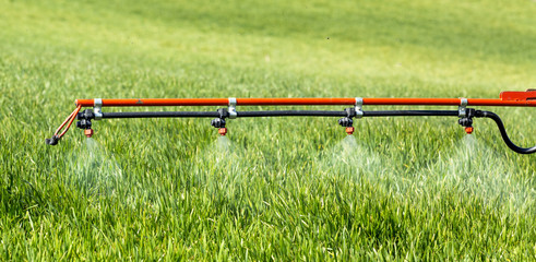 Obraz premium Tractor sprayer spraying wheat at spring.