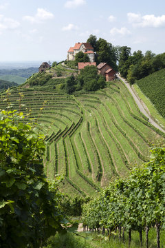 Durbach, Schlo&szlig; Staufenberg