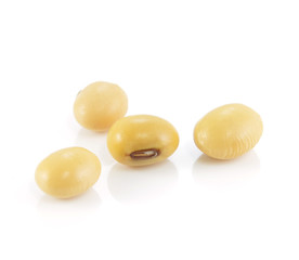 the soya beans on white background