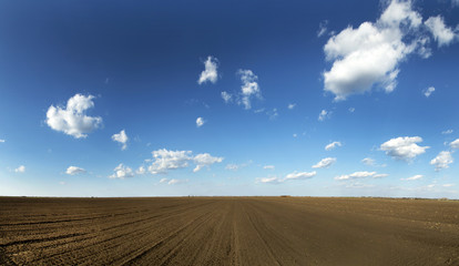 Arable land over blue sky, panorama shot.