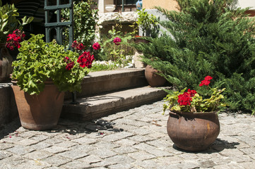 Fototapeta na wymiar Corner of beautiful home garden details closeup