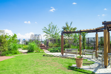 Rooftop garden