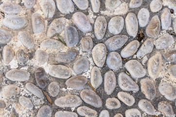 stone ground