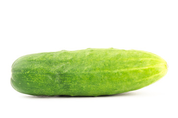 Fresh cucumber