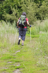 Fototapeta na wymiar woman hiking