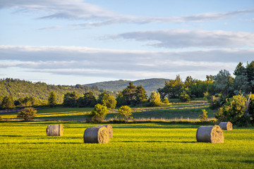 Hay rolls on green field at sunset