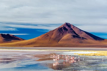 Fotobehang Volcano and Flamingoes © jkraft5