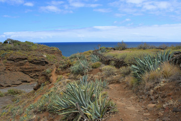 teneriffa