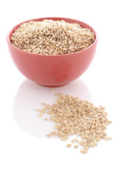 Grain of the wheat and bowl