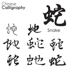 "Snake" character in different kind of Chinese Calligraphy