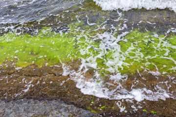 Waves at the shore